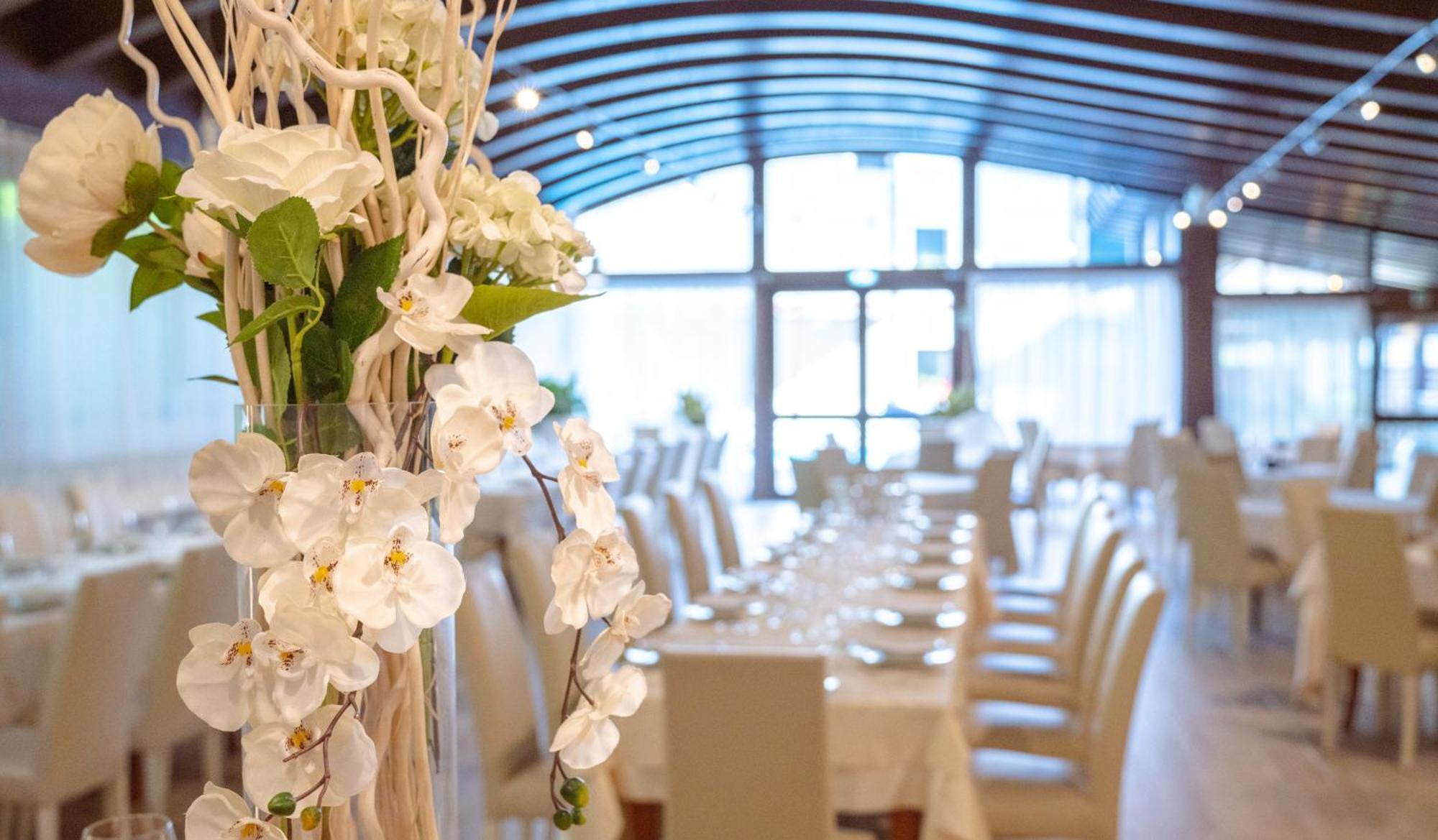 Hotel Degli Olmi 빌레타 바레아 외부 사진
